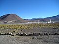 ElTatio8