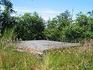 Archivo:Fort Stevens bunker