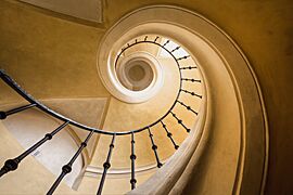 Golden Spiral by Brad Hammonds