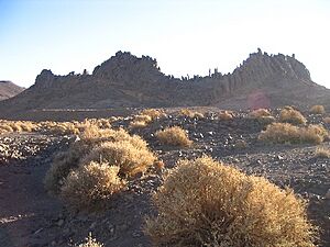 Archivo:Hoggar5