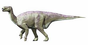 Archivo:Iguanodon new NT