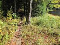Lowell-lake-walkway-londonderry
