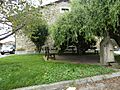 Luey (Cantabria) 7