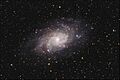 M33HunterWilson1
