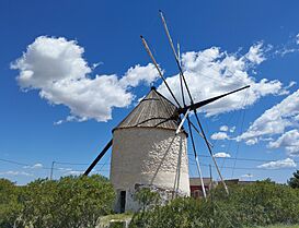 Molino viejo de Zabala (20250416 133831).jpg