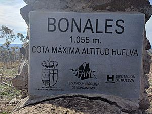 Archivo:Monolito en la cima del Monte Bonales, detalle