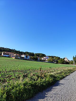 Moraza (1).jpg
