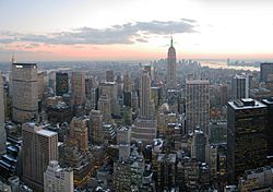 Archivo:NYC wideangle south from Top of the Rock