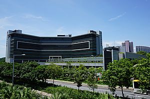 Archivo:North Lantau Hospital (blue sky)
