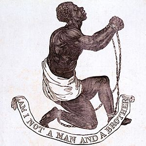 Archivo:Official medallion of the British Anti-Slavery Society (1795)