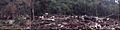 Panoramic view of the crash site of GAI152 (2)
