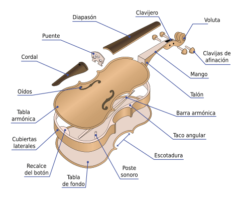 Archivo:Partes del Violin