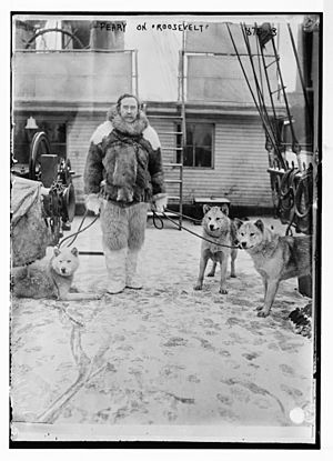 Archivo:Peary with dogs on deck of "Roosevelt" LCCN2014684194