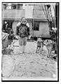 Peary with dogs on deck of "Roosevelt" LCCN2014684194