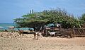 Península de Paraguaná, Falcón