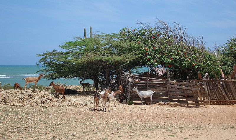 Archivo Península de Paraguaná, Falcón