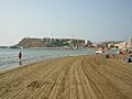 Playa del Puerto