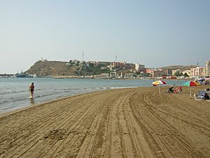 Archivo:Playa del Puerto