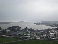 Puerto Saavedra 2012.jpg