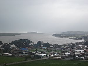Puerto Saavedra 2012.jpg