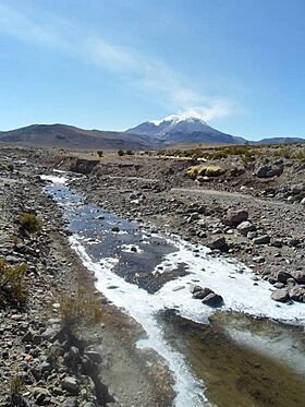 Río Ancuta.jpg