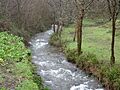 Río Turía 1