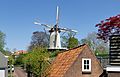Rhenen, de Binnenmolen RM32465 IMG 9170 2019-04-19 14.00