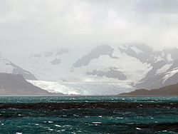Archivo:SG12 Antarctic Bay