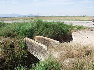 Archivo:Sarcófago d'Utxana, Sueca 04