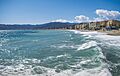 Savona (260099911)