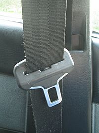 Archivo:Seat belt BX