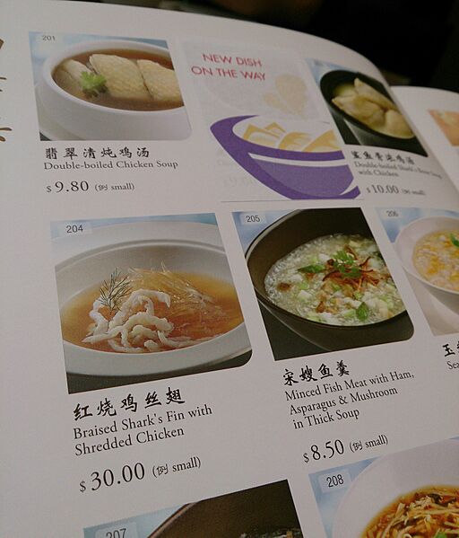 Sharks fin on the menu