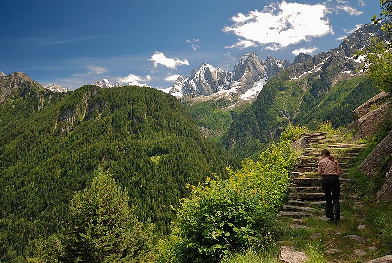 Stairs with a view