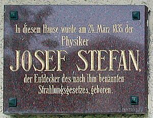 Archivo:Stefan haus