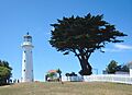Tiritri Matangi lighthouse and macrocarpa tree