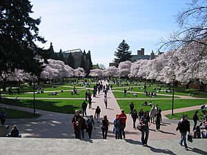 Archivo:University of Washington Quad, Spring 2007