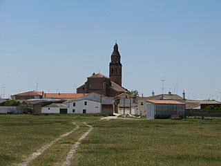Vista de la iglesia de Palacios Rubios desde la era.JPG