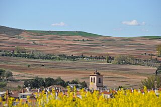 Alalpardo. Torre de la Iglesia domina el campo.JPG