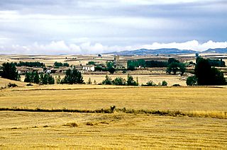 Arenillas de Villadiego (2001).jpg