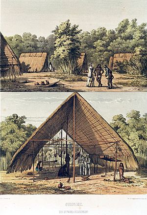 Archivo:Arowak village