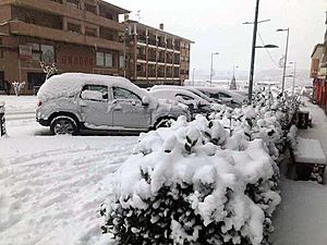 Archivo:Avenida de la localidad en una nevada