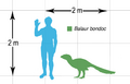 Balaur bondoc scalechart 2015