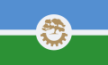 Bandera Ciudad de Arroyito