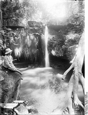 Archivo:Bundesarchiv Bild 105-DOA0495, Deutsch-Ostafrika, Kilimandscharo, Wasserfall