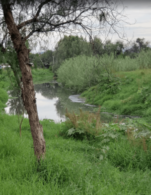 Archivo:Canal de aguas negras Uriangato