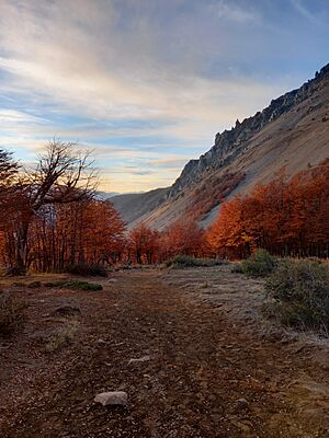 Archivo:Cerro Piltriquitron en otoño