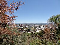 Archivo:Ciudad de Curico