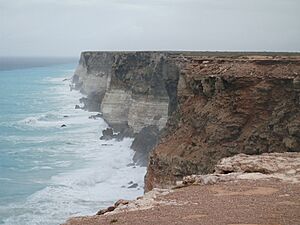 Archivo:Cliff overlooking sea - Great Australian Bight Commonwealth Marine Reserve