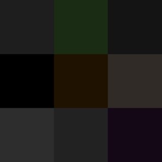 Colores negros.png