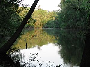 Archivo:Cong weston lake